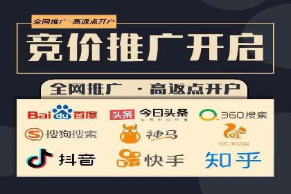 行业内的SEM竞价策略与效果对比案例